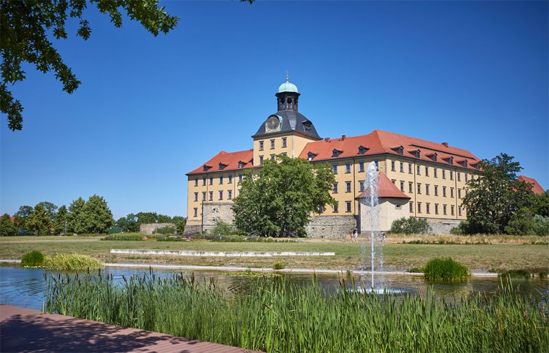 Partner und Sponsoren des Parks
